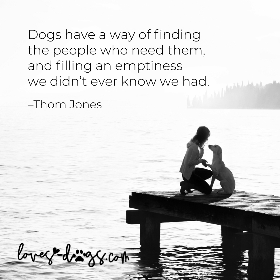 best dog quotes happy quotes about dogs loves dogs