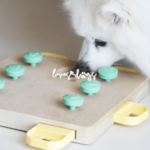 Unleash Fun and Intelligence: Puzzle Toys for Dogs