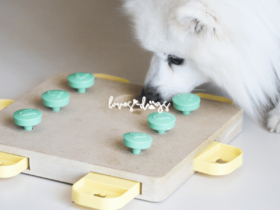 Unleash Fun and Intelligence: Puzzle Toys for Dogs