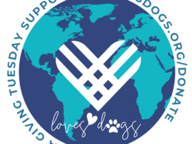 giving tuesday loves dogs dog rescue giving tuesday 2023 loves dogs nonprofit dog rescue