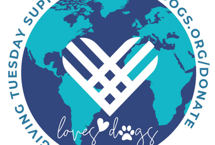 giving tuesday loves dogs dog rescue giving tuesday 2023 loves dogs nonprofit dog rescue