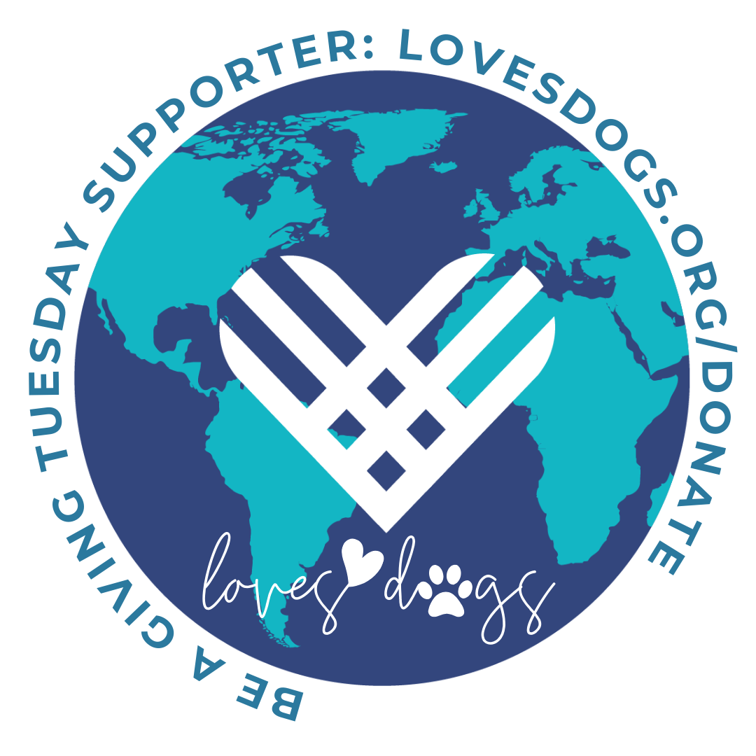 giving tuesday loves dogs dog rescue giving tuesday 2023 loves dogs nonprofit dog rescue