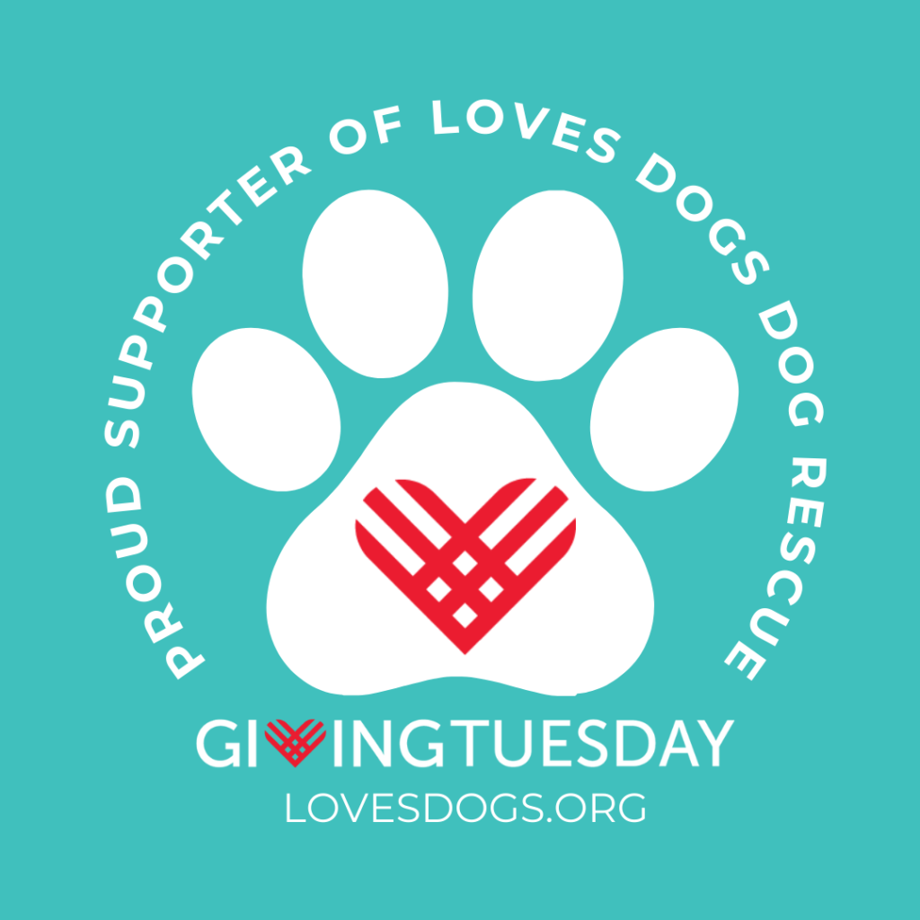 giving tuesday loves dogs dog rescue giving tuesday 2023 loves dogs nonprofit dog rescue