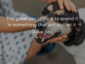 loves dogs dog rescue william james quotes inspo quoes spend life doing something that will outlast it quote