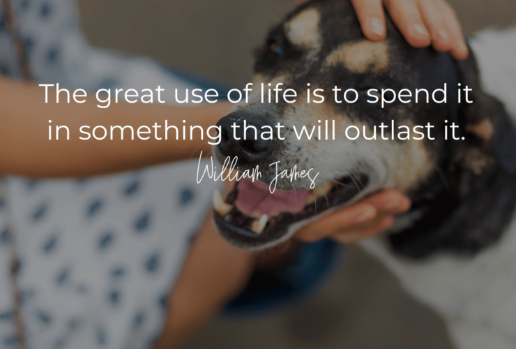 loves dogs dog rescue william james quotes inspo quoes spend life doing something that will outlast it quote