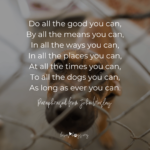 loves dogs dog rescue do all the good you can quote john wesley