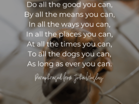 loves dogs dog rescue do all the good you can quote john wesley