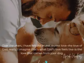 loves dogs dog rescue loves dogs nonprofit dog rescue over the years quote by oprah winfrey about dogs