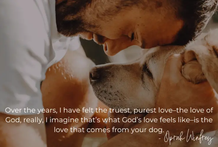 loves dogs dog rescue loves dogs nonprofit dog rescue over the years quote by oprah winfrey about dogs