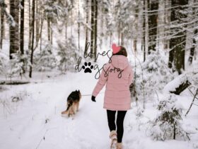 protecting outdoor dogs during a cold snap extreme cold polar vortex loves dogs nonprofit dog rescue