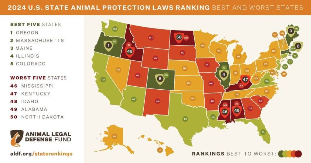 2024 animal protection laws state of animal protection in the united states loves dogs dog rescue