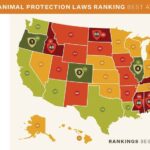 2024 animal protection laws state of animal protection in the united states loves dogs dog rescue