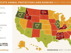 2024 animal protection laws state of animal protection in the united states loves dogs dog rescue