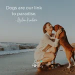 loves dogs dog quotes dogs are our link to paradise quote loves dogs dog rescue