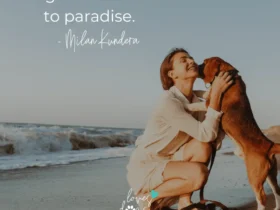 loves dogs dog quotes dogs are our link to paradise quote loves dogs dog rescue