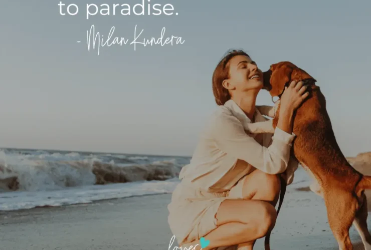 loves dogs dog quotes dogs are our link to paradise quote loves dogs dog rescue