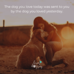 loves dogs loves dogs dog rescue loves dogs nonprofit dog rescue the dog you love today was sent to you by the dog you loved yesterday