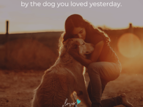 loves dogs loves dogs dog rescue loves dogs nonprofit dog rescue the dog you love today was sent to you by the dog you loved yesterday