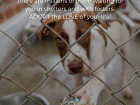 loves dogs loves dogs dog rescue loves dogs nonprofit dog rescue dog quotes