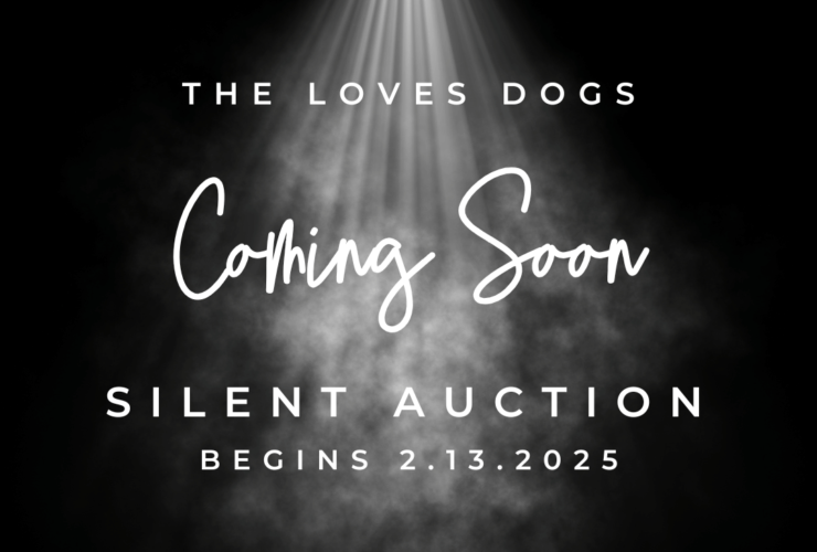 loves dogs silent auction loves dogs dog rescue loves dogs nonprofit dog rescue