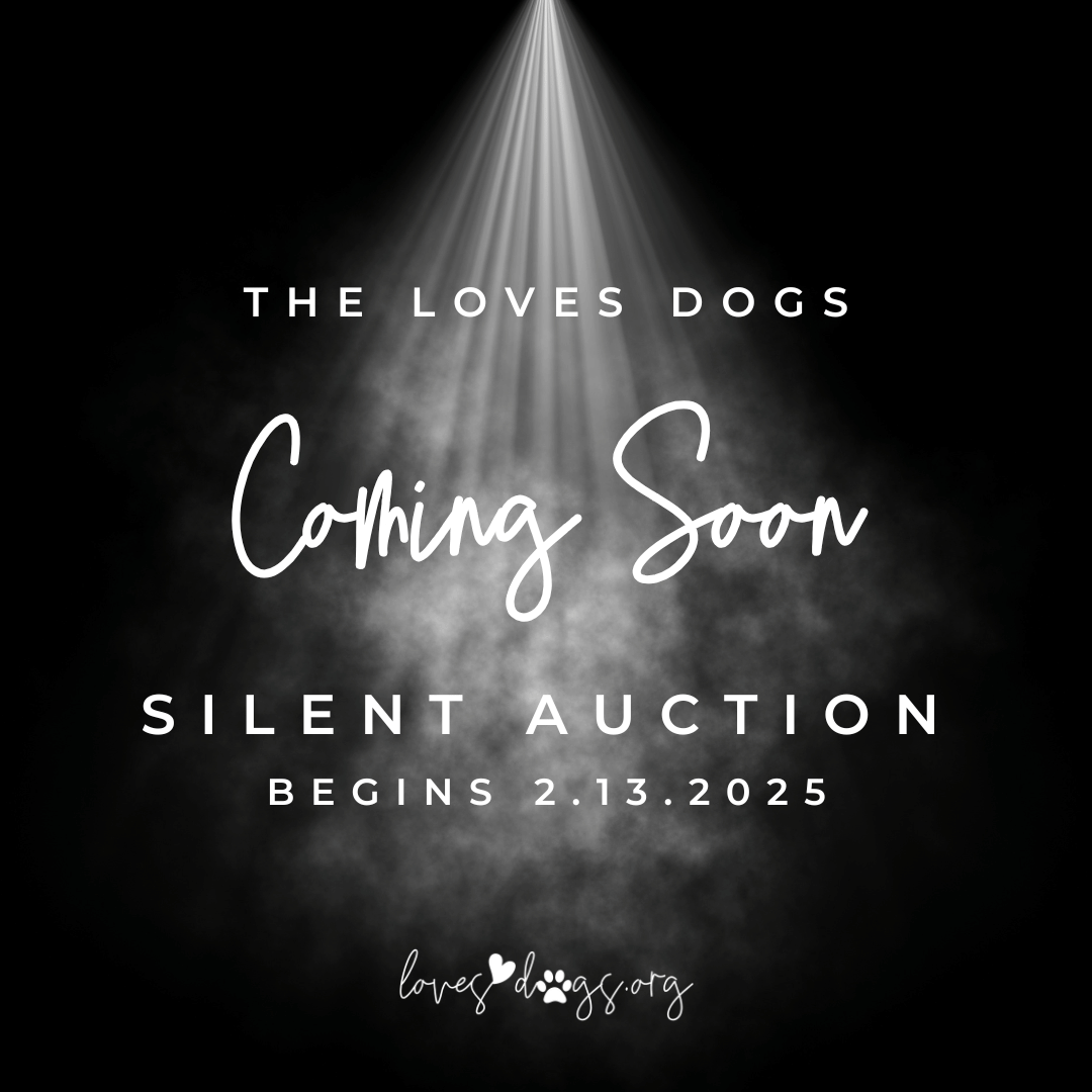 loves dogs silent auction loves dogs dog rescue loves dogs nonprofit dog rescue