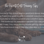 best crate training tips for dogs loves dogs dog rescue loves dogs nonprofit dog rescue