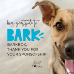 loves dogs loves dogs dog rescue loves dogs nonprofit dog rescue barkbox