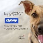 loves dogs loves dogs dog rescue loves dogs nonprofit dog rescue chewy