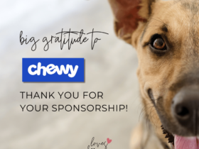 loves dogs loves dogs dog rescue loves dogs nonprofit dog rescue chewy