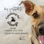 loves dogs loves dogs dog rescue loves dogs nonprofit dog rescue