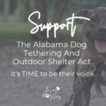 animal welfare in alabama improve animal welfare in alabama loves dogs dog rescue loves dogs nonprofit dog rescue