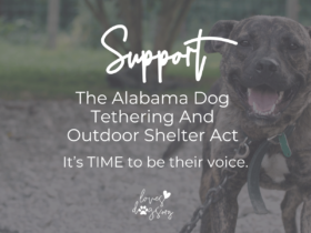 animal welfare in alabama improve animal welfare in alabama loves dogs dog rescue loves dogs nonprofit dog rescue