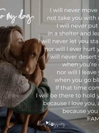 i love my dog dog quotes best dog quotes dog inspo loves dogs loves dogs nonprofit dog rescue