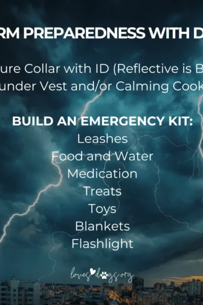 storm preparedness with dogs dog emergency kit tornado kit for dogs loves dogs loves dogs nonprofit dog rescue