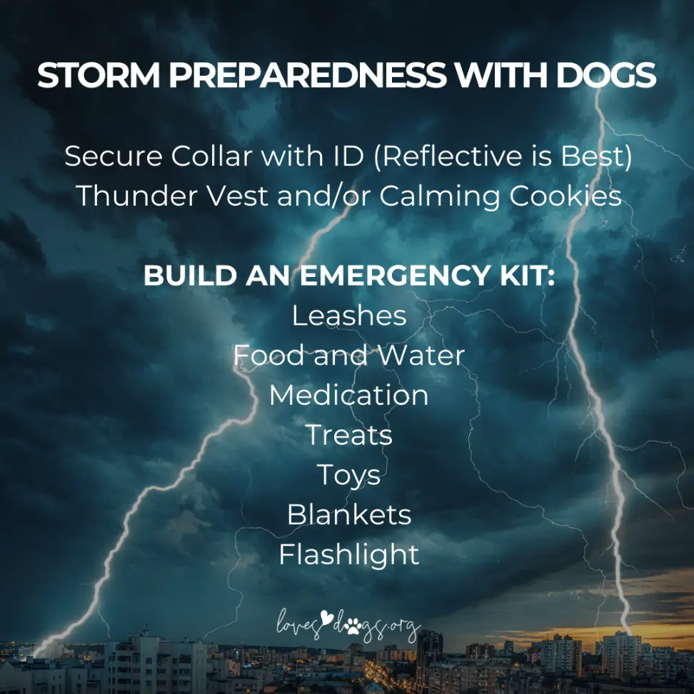 storm preparedness with dogs dog emergency kit tornado kit for dogs loves dogs loves dogs nonprofit dog rescue