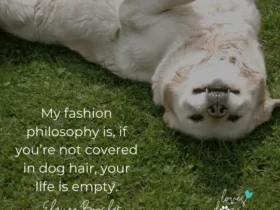 dog quotes dog memes funny dogs loves dogs loves dogs dog rescue