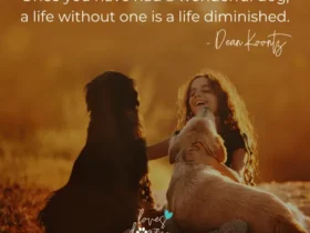 dog quotes dean koontz dog quotes loves dogs dog rescue loves dogs nonprofit dog rescue