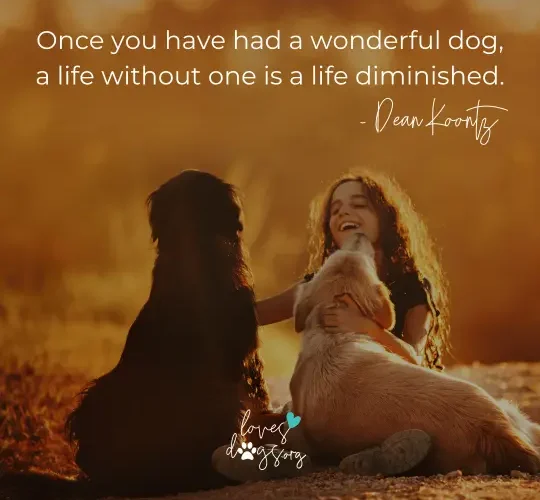 dog quotes dean koontz dog quotes loves dogs dog rescue loves dogs nonprofit dog rescue