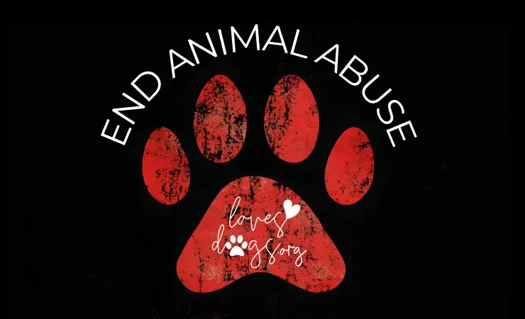 end animal abuse end animal cruelty end dog abuse loves dogs dog rescue loves dogs nonprofit dog rescue