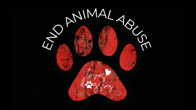 end animal abuse end animal cruelty end dog abuse loves dogs dog rescue loves dogs nonprofit dog rescue